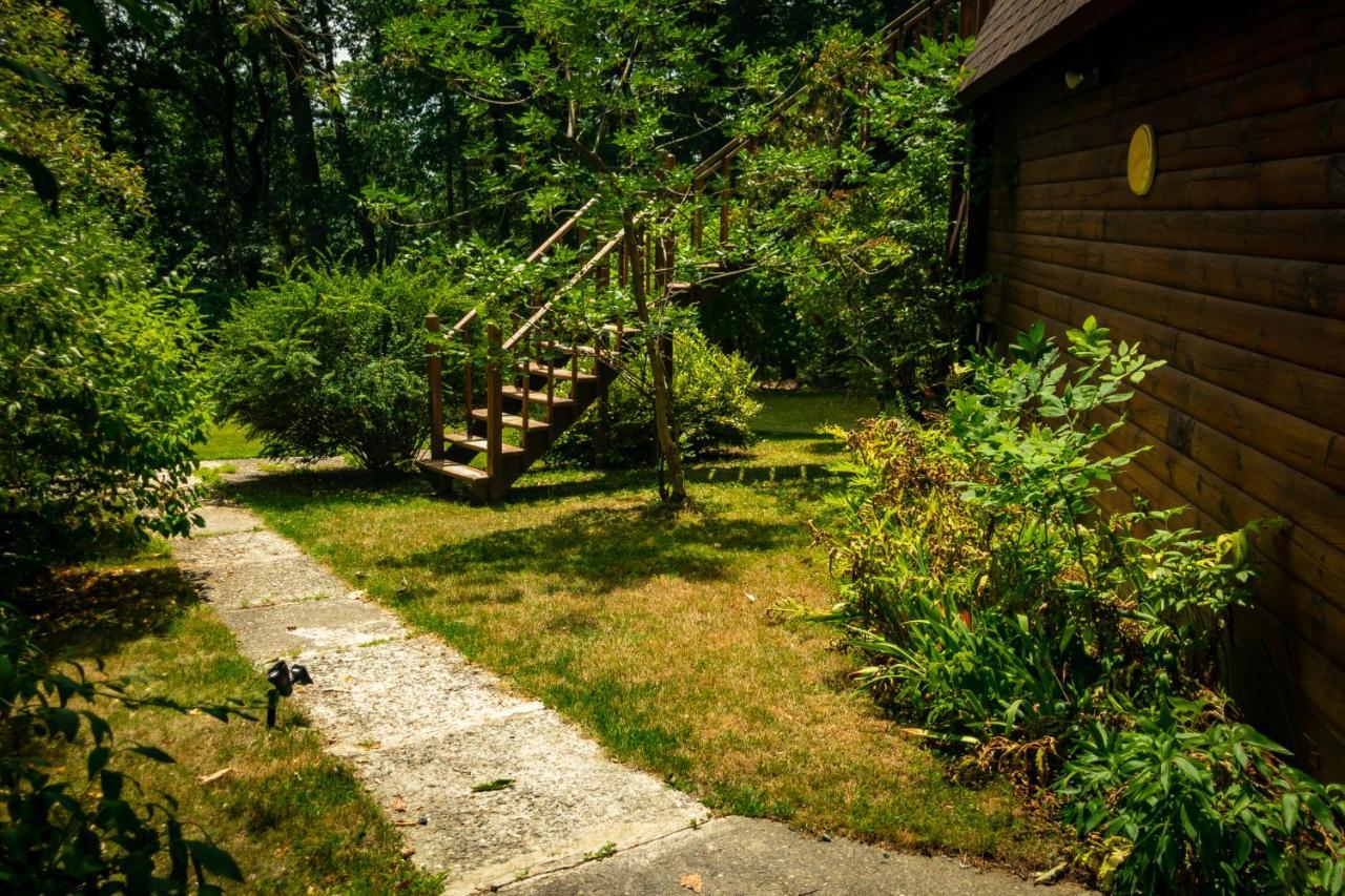 Hikers Haven, A Cozy Cabin Loft Above Bashakill Wildlife Refuge Vila Wurtsboro Exterior foto